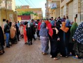 إقبال كبير للناخبين على لجان انتخابات النواب بقرى مركز بسيون بالغربية.. صور