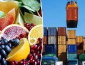 1.27مليار دولار صادرات مصر من الأغذية للدول العربية بالنصف الأول من 2021