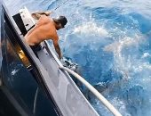 مغامر يضع يده بين أسماك القرش المفترسة أثناء الصيد فى أستراليا.. فيديو