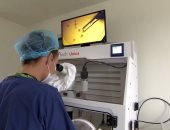 كورونا يؤثر على خصوبة الرجال حتى بعد التعافى من الفيروس.. دراسة تحذر