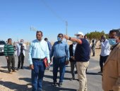 محافظ الوادى الجديد يوجه بزراعة 1600 شجرة ماهوجنى.. صور