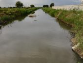 "الصرف الصحى" بالإسكندرية تجرى جولة على الترع والمصارف للتأكد من مناسيب المياه