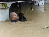 شخص يخاطر بحياته لإنقاذ كلب وسط مياه الفيضان فى الفلبين.. فيديو وصور