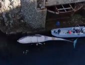 لقطات جوية للعثور على حوت عملاق نافق قرب شواطئ إيطاليا.. فيديو