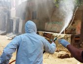 تنفيذ حملة تعقيم وتطهير لحى عاطف السادات بالعريش 