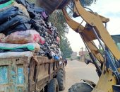 الوحدات المحلية بالغربية تواصل جهودها في رفع القمامة والمخلفات