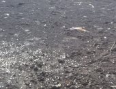 محافظ الدقهلية يوجه بإنهاء أعمال الصرف بطرق المعهد الأزهرى بقرية الربع