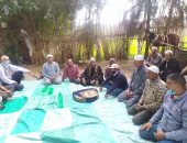 ندوات إرشادية حول أهمية زراعة القمح على مصاطب بكفر الشيخ.. صور