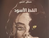 "القط الأسود" رواية جديدة لـ مصطفى الشيمى