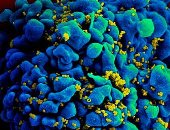 المركز الأمريكى للسيطرة على الأمراض يحذر من فيروس "شابار" القاتل