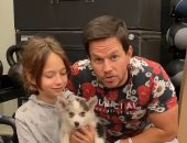 مارك والبيرج يخطف الأنظار بصحبة ابنته و"كلبها" فى الجيم.. فيديو وصور