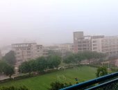 حالة الطقس اليوم الأحد 14/2/2021 فى مصر