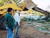 إزالة الأشجار المتساقطة على طريق السعدى-صان الحجر بالشرقية بسبب الطقس السيئ