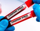 "شابارى" فيروس جديد يهاجم أمريكا اللاتينية.. صحيفة: بسبب القوارض 