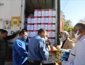 وصول قافلة صندوق تحيا مصر لتوزيعها على الأسر الأولى بالرعاية بالوادى الجديد