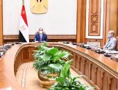 الرئيس يوجه بالإسراع فى تطوير صناعة السيارات العاملة بالطاقة الجديدة