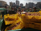 ضبط دواجن وإعدام 400 كجم لحوم غير صالحة بكفر الشيخ.. صور