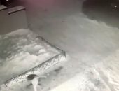 طفلة روسية تنجو بأعجوبة بعد سقوطها من شرفة المنزل على كومة ثلج.. فيديو وصور