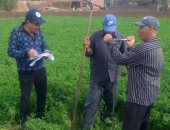 الرى تعلن البدء فى إجراءات تجديد شبكة الصرف المغطى فى 6 آلاف فدان بالبحيرة