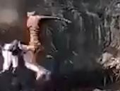 نمر هارب من محمية بالهند يصيب شخصين ويسقط بأحدهما فى حفرة.. فيديو وصور