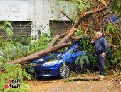 سقوط شجرة بأحد شوارع المهندسين بسبب سوء الأحوال الجوية وشدة الأمطار (صور)