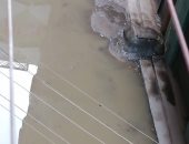 شكوى من غرق شارع حمدى النجار بسوهاج بالصرف الصحى.. ومجلس المدينة يستجيب