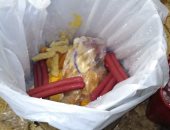 إعدام 1150 كيلو مواد غذائية متنوعة غير صالحة للاستهلاك بالمنصورة وطلخا