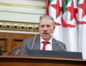 مجلس الأمة الجزائرى يدعو المواطنين للتعبئة تحسبا للانتخابات التشريعية المبكرة