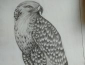 أبيض وأسود وألوان.. وفاء تشارك "صحافة المواطن" بموهبتها في الرسم