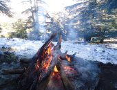 الثلوج تكسو مرتفعات الولايات فى الجزائر.. صور