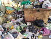 شكوى من انتشار القمامة فى قلين البلد بكفر الشيخ.. ورئيس المدينة يستجيب