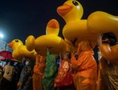 "البطة الصفراء" رمز احتجاجات تايلاند بعد المظاهرات المناهضة للحكومة.. صور