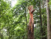 100 منحوتة عالمية.. "العملاقة" فنان يحول شجرة إلى يد 
