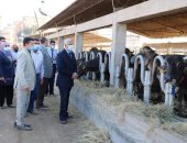 رئيس جامعة المنوفية يتفقد إنتاجية مزرعة طوخ طنبشا ..صور