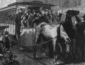 وباء انفلونزا الخيول أدى إلى معاناة أمريكا فى القرن الـ 19.. هل سمعت عنه؟