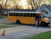 كلب يصطحب الأطفال ويطمئن لركوبهم الحافلة الدراسية بأمريكا.. فيديو