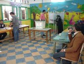 إقبال متوسط على لجان الإعادة بانتخابات مجلس النواب فى المحلة.. صور
