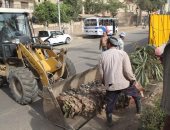 محافظة الجيزة تنفذ حملات نظافة بـ11 منطقة وترفع سيارات متهالكة بشوارع العمرانية