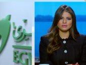 التأمينات تكشف استفادة قطاع الأعمال من إعفاءات عن أصل مستحقات بـ6مليارات جنيه