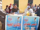 صحة المنيا تقدم خدمات طبية لـ 1746 مواطن خلال قافلة بقرية طهنا الجبل