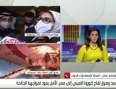 أستاذ أوبئة لـ التاسعة: فاعلية اللقاح الصينى لا تظهر إلا بعد أخذ الجرعة الثانية