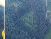 رجل نيوزيلندى يزرع مجموعة من الأشجار على شكل قلب تكريما لزوجته