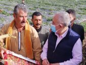 وزير الرى يتفقد مزرعة نموذجية بالمنوفية تستخدم الرى بالتنقيط فى الزراعة.. صور