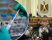 تحذيرات برلمانية من الشائعات عبر مواقع التواصل بشأن لقاحات كورونا.. "صحة البرلمان": كارهو الوطن يروجون معلومات مغلوطة وأكاذيب لخلق حالة من الهلع.. ويؤكدون: كافة البيانات متاحة للمواطنين من مصادرها الرسمية