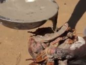 سكان مدغشقر يأكلون الطين الأبيض ويطعموه لأطفالهم للتحايل على الجوع.. فيديو