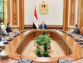 الرئيس السيسى يوجه بالبدء الفورى فى الخطوات التنفيذية لإنشاء معامل مركزية بالموانئ