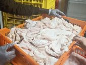 صور.. سكرتير عام محافظة الإسكندرية يقود حملة مكبرة لضبط الأسواق 