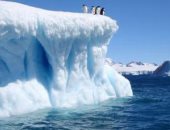 ما الذى سيحدث للجبل الجليدى الذى انفصل عن القارة القطبية الجنوبية؟