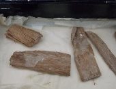 صندوق السيجار يكشف الأسرار.. اكتشاف قطع خشب أثرية مصرية فى اسكتلندا.. صور