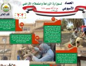 الزراعة × أسبوع.. الإمارات توافق على بدء استيراد سلالات مصرية للأغنام والماعز 